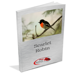 Scarlet Robin