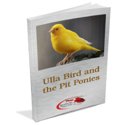 Ulla Bird is a popular book in schools.