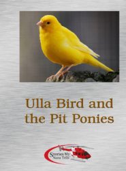 Ulla Bird and the Pit Ponies is not about butterfies