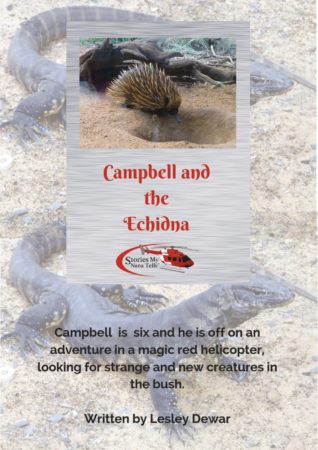 Campbell and the Echidna is a story for boy in the FIFO industry