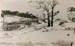 Blue lived at Eucumbene Portal, and faced winter blizzards