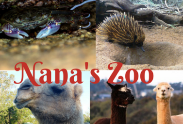 Nana's Zoo includes all the animals in the picture