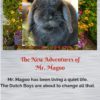 Mr Magoo the blind rabbit has a new adventure