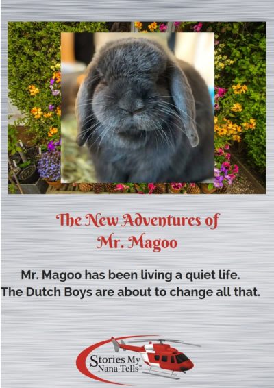 Mr Magoo the blind rabbit has a new adventure