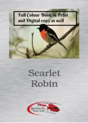 Scarlet Robin book and digital version