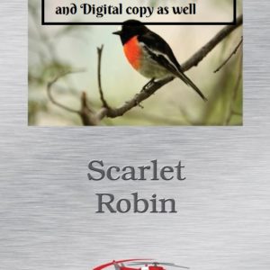 Scarlet Robin book and digital version