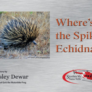 The cover of the Spiky Echidna book