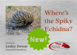 Where's the Spiky Echidna is new. Order now and it's delivered by Australia Post, right to your door.